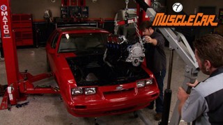 Dark Horse/ Candy Paint Crash Course