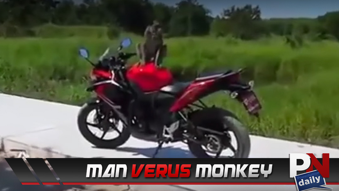 A Man Fights A Monkey For His Motorcycle!