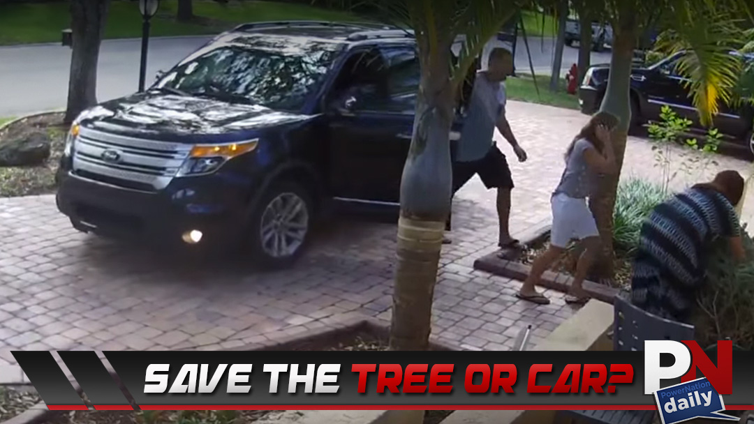 A Guy Has To Choose Between A Christmas Tree And His SUV!