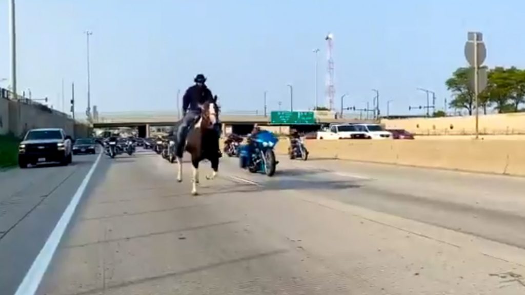 Chicago Man Facing Charges After Riding His Horse Down The Dan Ryan ...